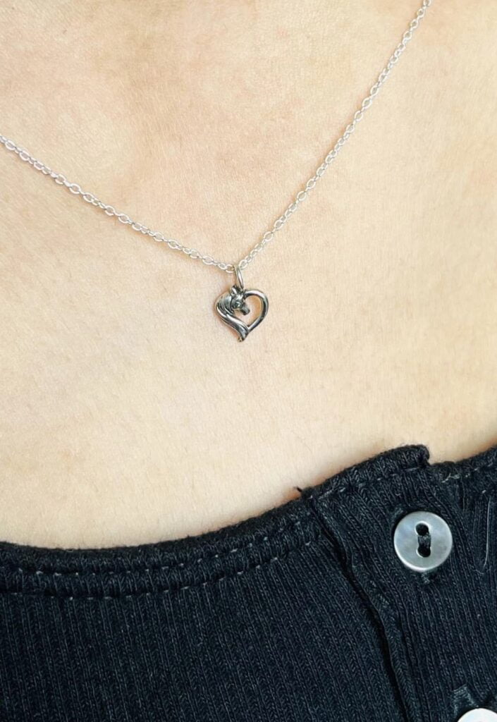 Set Zilveren Paard Oorbellen + Ketting - Afbeelding 3