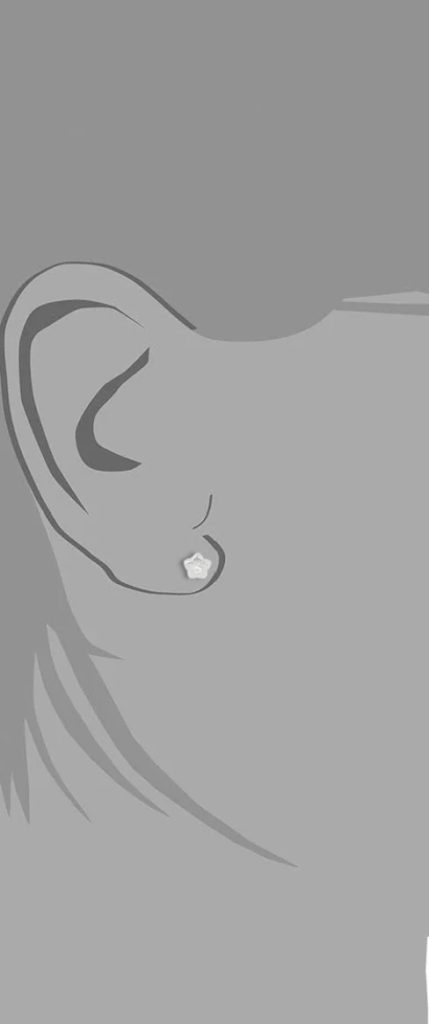 Zirkonia Bloem Oorbellen Met Schroefsluiting Zilver - Afbeelding 2