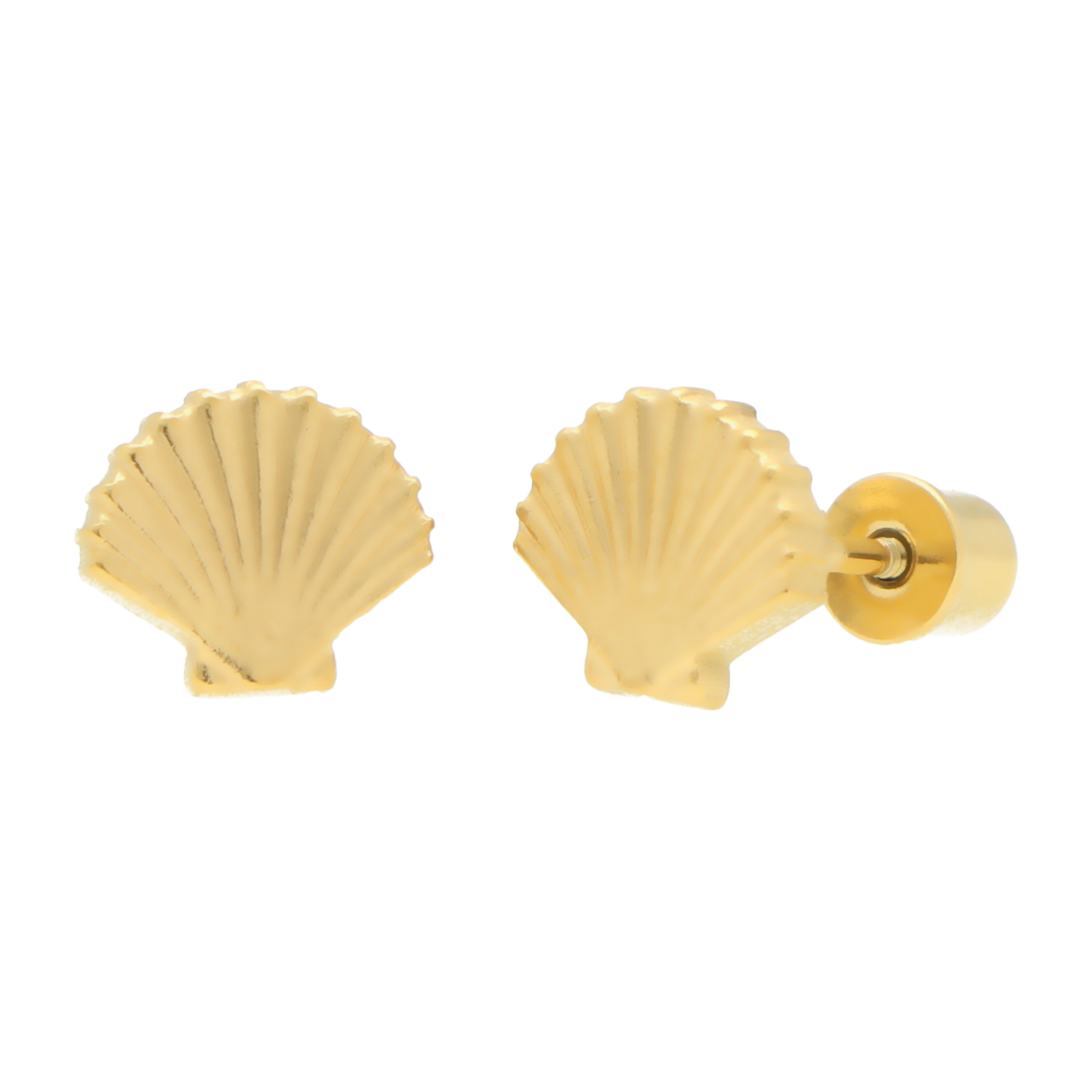 Goudkleurige schelp oorbellen dames meisje – 316L chirurgisch staal – hypoallergeen – schroefsluiting – 8 mm